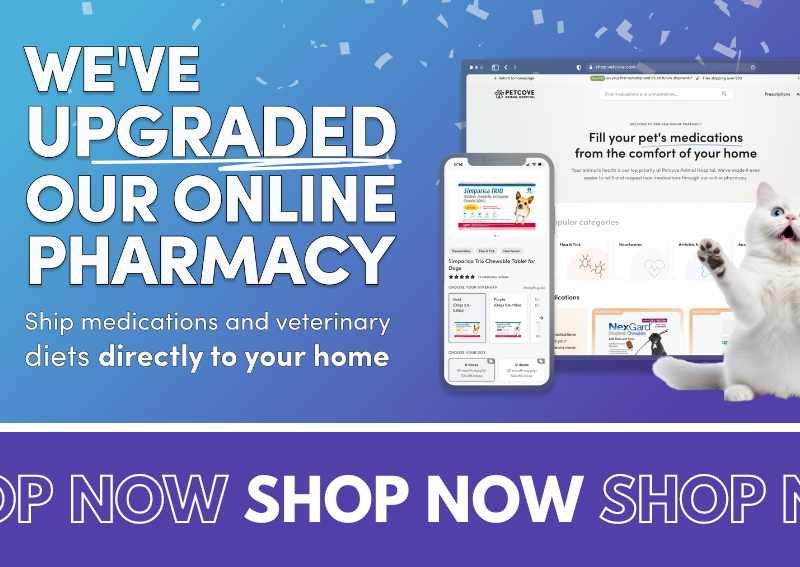 Carousel Slide 4: Shop our Online Pharmacy